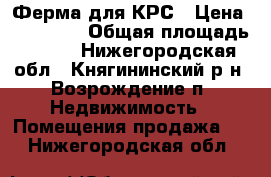 Ферма для КРС › Цена ­ 600 000 › Общая площадь ­ 875 - Нижегородская обл., Княгининский р-н, Возрождение п. Недвижимость » Помещения продажа   . Нижегородская обл.